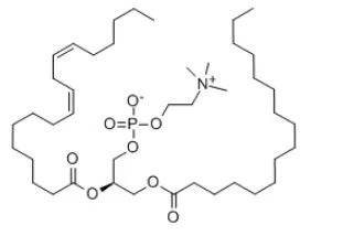 Phosphatidylcholine Powder