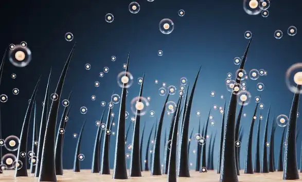 Horsetail Extract Powder Horsetail Extract Powder