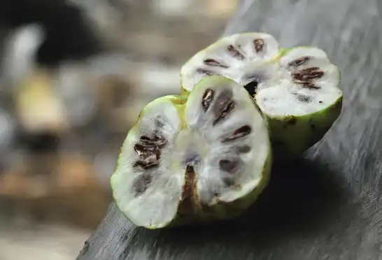 Noni Powder Noni Powder