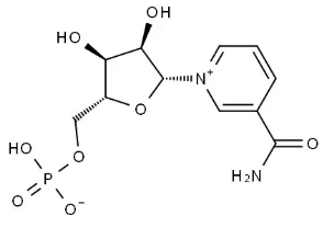 beta-Nicotinamide Mononucleotide beta-Nicotinamide Mononucleotide