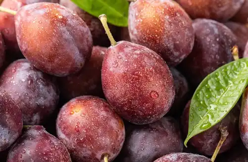 Organic Prune Juice Powder Bulk