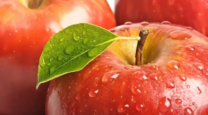 Apple Polyphenol