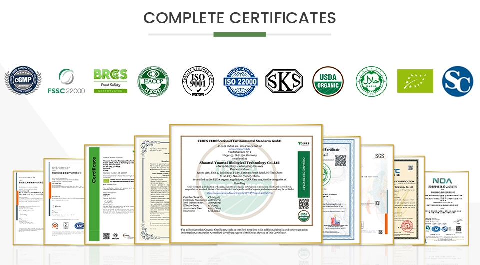 Melatonin & Magnesium Gummies Melatonin & Magnesium Gummies