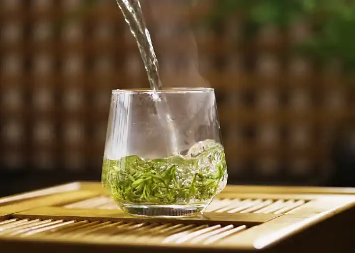 Green Tea Extract Powder