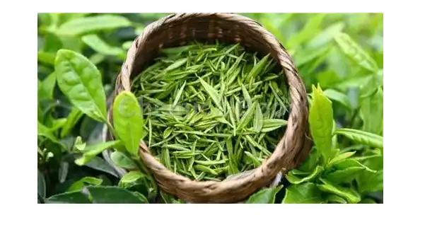 Tea Polyphenols Tea Polyphenols