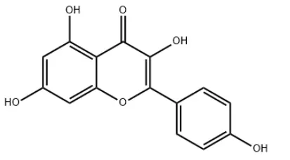 Kaempferol Kaempferol