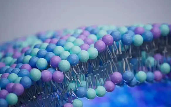 Liposomal Vitamin C Liposomal Vitamin C