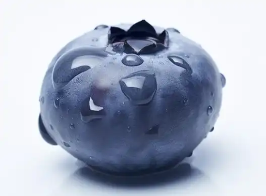 blueberry Anthocyanin