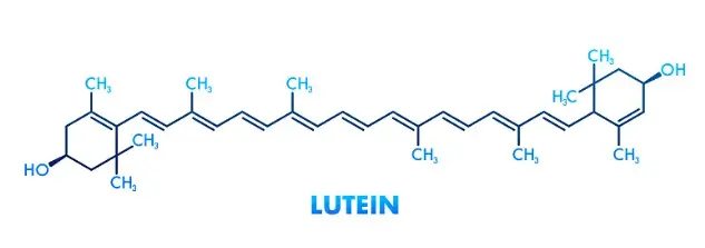 Lutein
