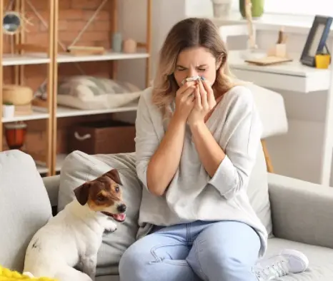 Bulk Beetroot Juice Powder Bulk Beetroot Juice Powder