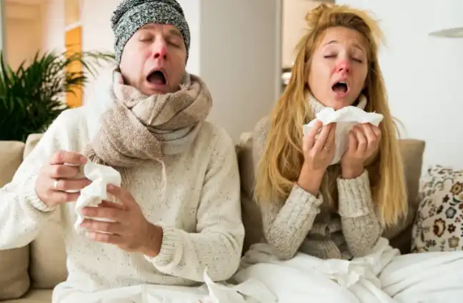 elderberry extract elderberry extract