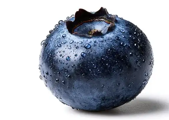 blueberry extract blueberry extract