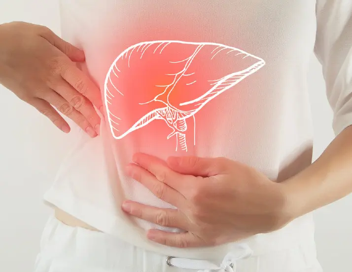 Caffeic Acid Phenethyl Ester powder