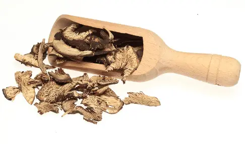 Black Cohosh Extract