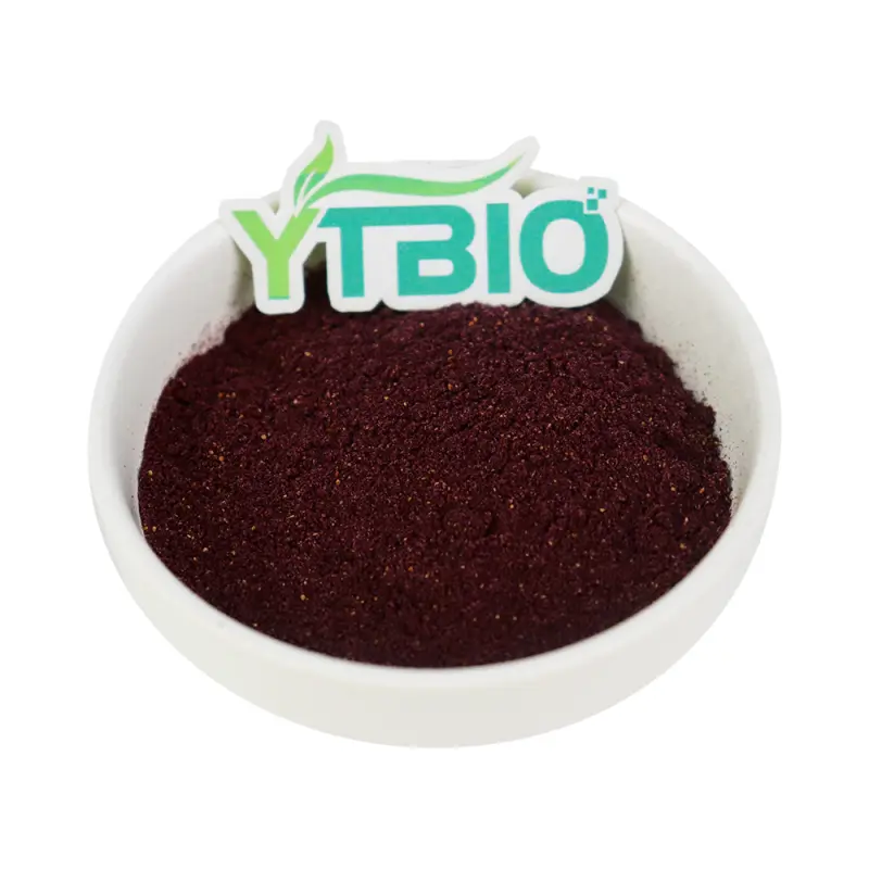 Blueberry Fruit Juice Powder