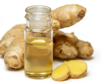 Zingiber Officinale Oil Zingiber Officinale Oil