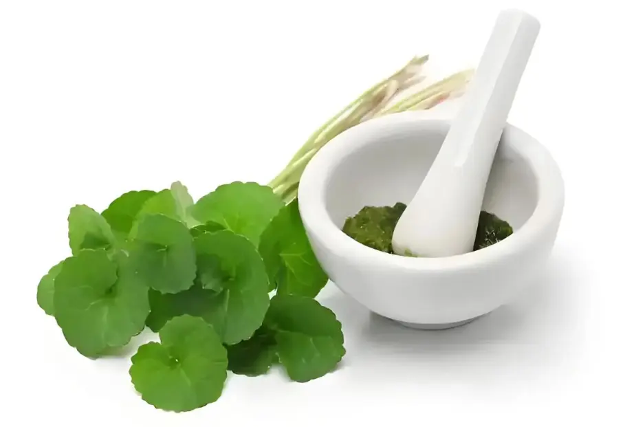 Madecassoside Powder Madecassoside Powder