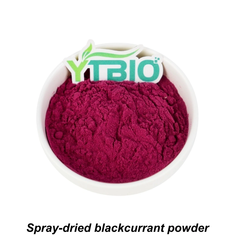 Black Currant Fruit Powder