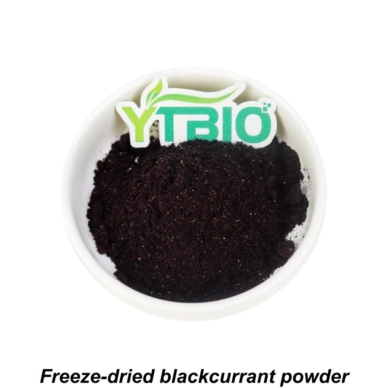 Black Currant Fruit Powder Black Currant Fruit Powder