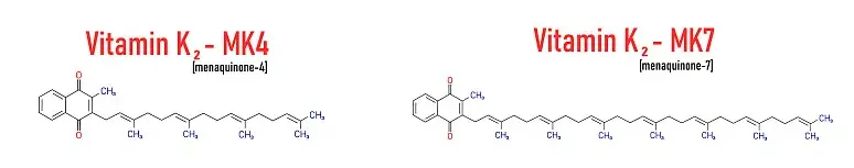 Vitamin K2 MK4 Vitamin K2 MK4