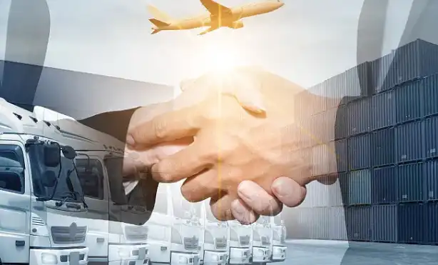 Reishi Extract Reishi Extract