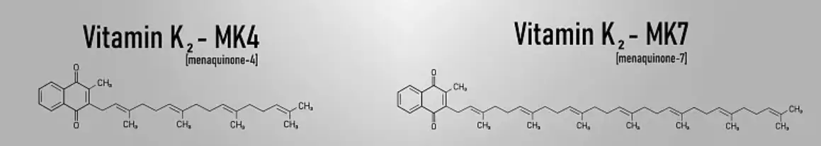Vitamin K2 MK4 Vitamin K2 MK4