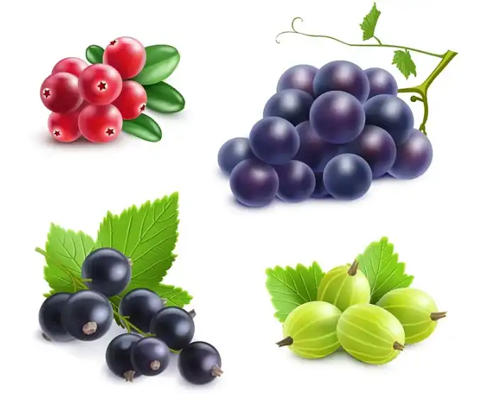 Resveratrol