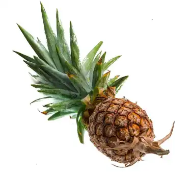Bromelain