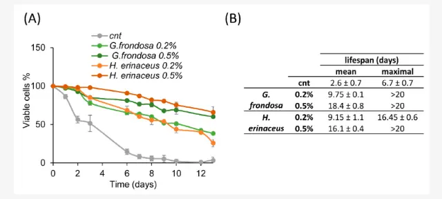 Maitake Mushroom Extract Powder Maitake Mushroom Extract Powder