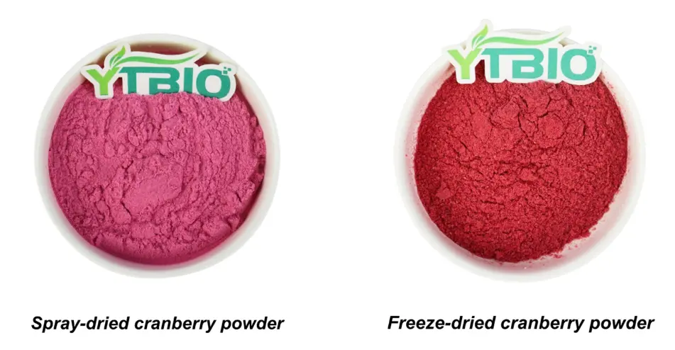 Bulk Cranberry Powder