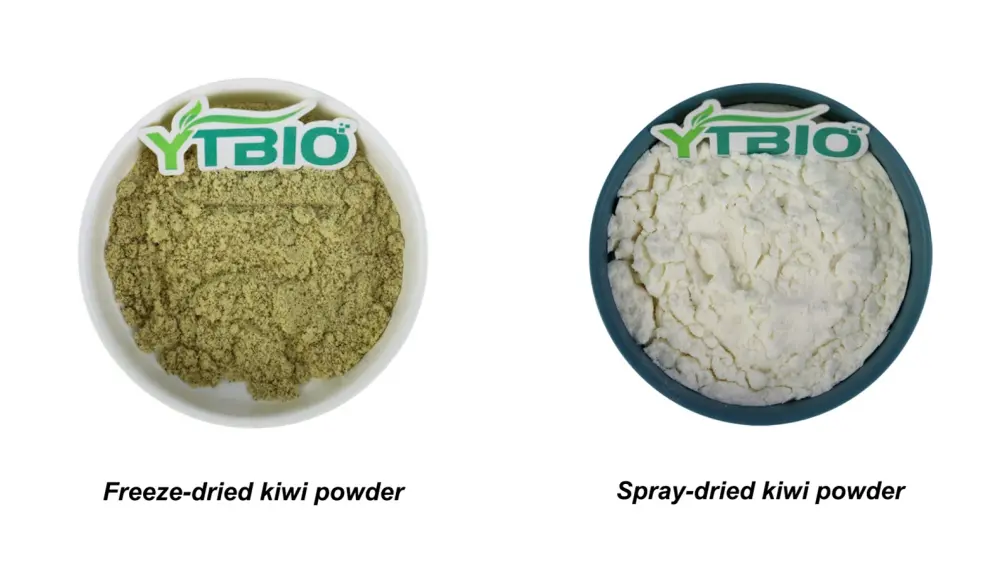 Bulk Kiwi Powder