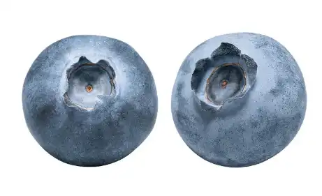 Blueberry Powder Blueberry Powder