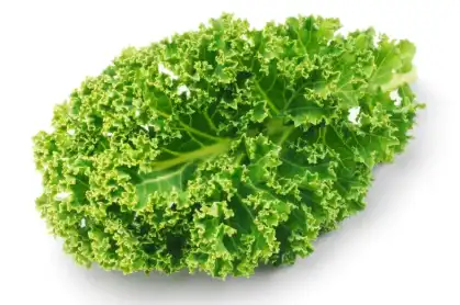 organic Kale Powder organic Kale Powder