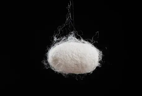 Sericin Powder