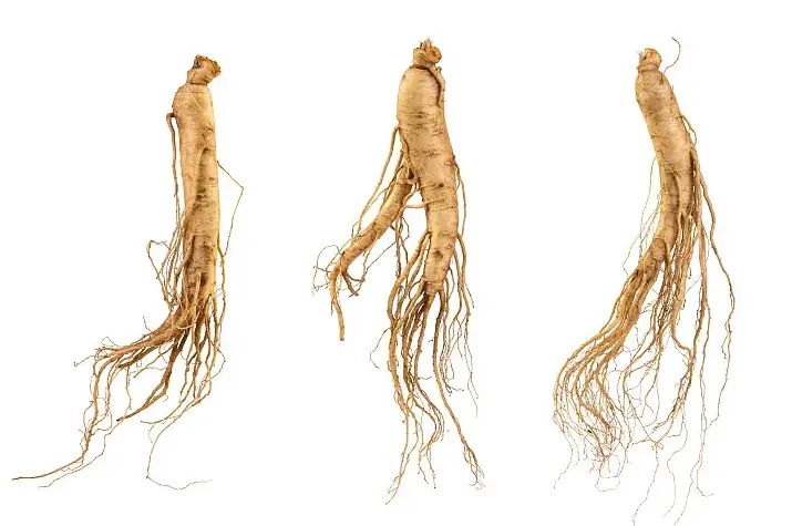 Pure Ginseng Extract Pure Ginseng Extract