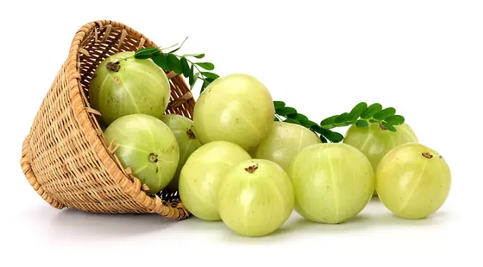Amla Extract Powder Amla Extract Powder