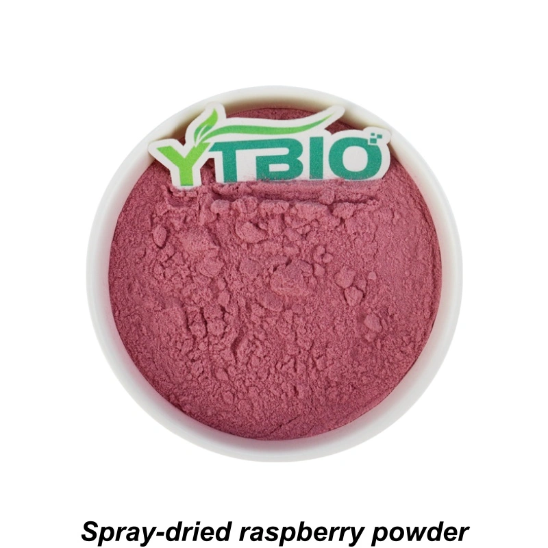 Raspberry Powder Bulk