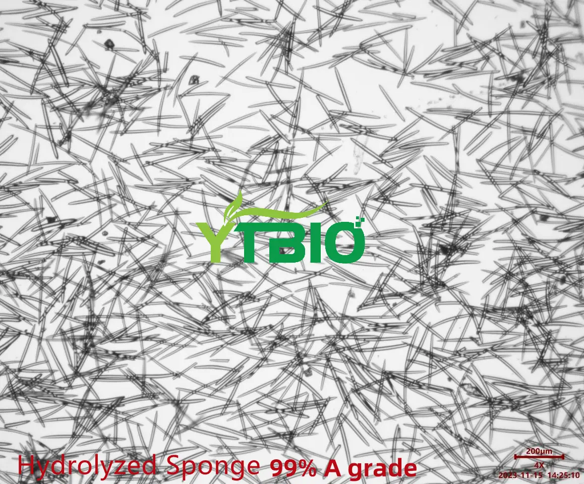 Hydrolyzed Sponge Spicules Hydrolyzed Sponge Spicules