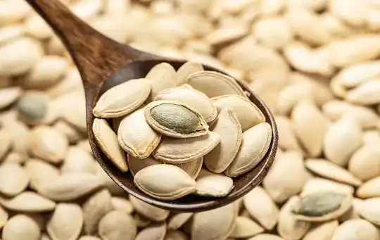 Pumpkin Seed Protein