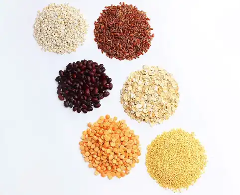 Pumpkin Seed Protein