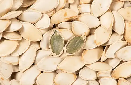 Pumpkin Seed Protein Pumpkin Seed Protein