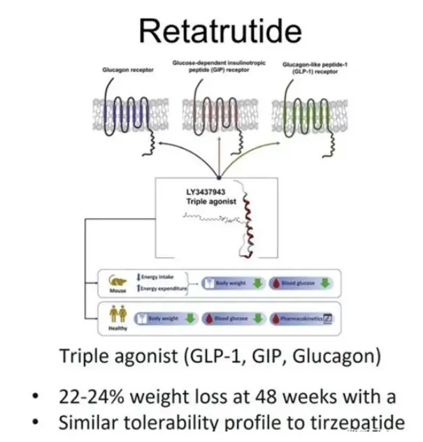 Retatrutide Powder Retatrutide Powder