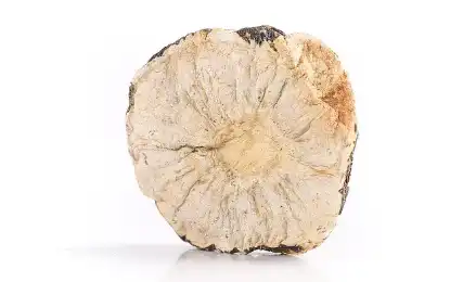 maca extract
