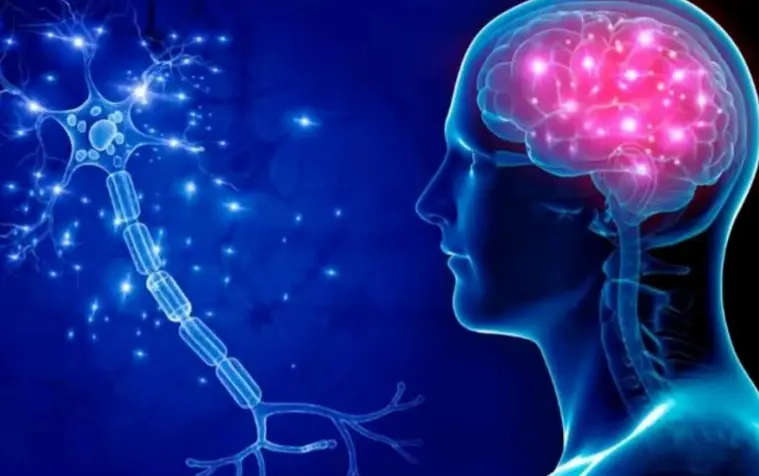 पैराक्सैंथिन बल्क पाउडर