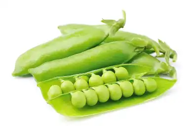 Bulk Pea Starch Bulk Pea Starch
