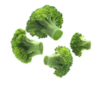 bulk organic broccoli powder