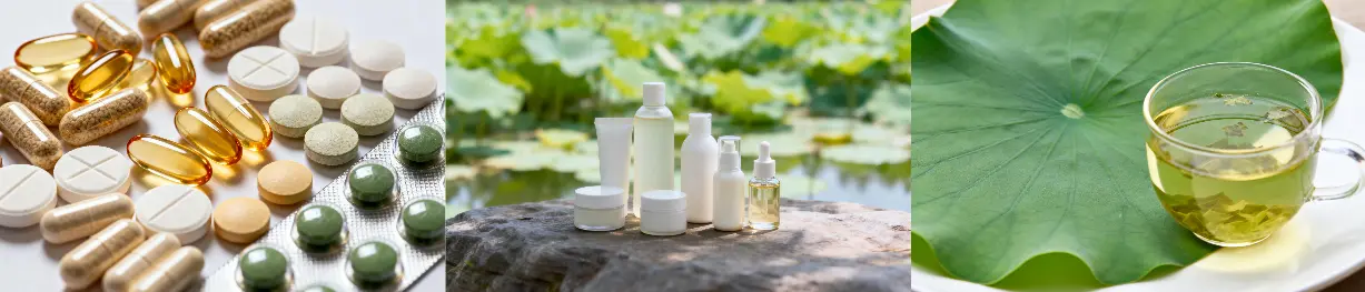 Lotus Leaf Extract Lotus Leaf Extract