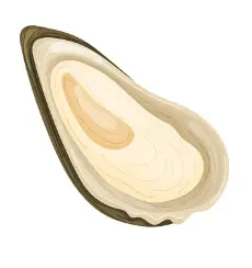 Oyster Powder Supplement