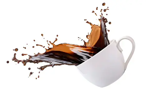 Oyster Powder Supplement