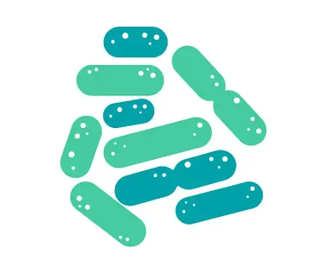 Pure Lactobacillus Acidophilus Pure Lactobacillus Acidophilus